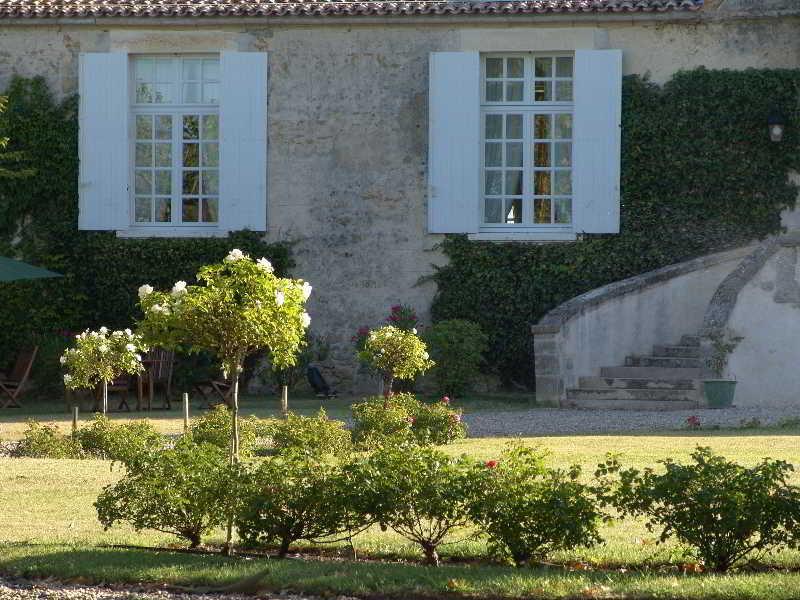Chateau D'Arche, Grand Cru Classe De Sauternes Ngoại thất bức ảnh