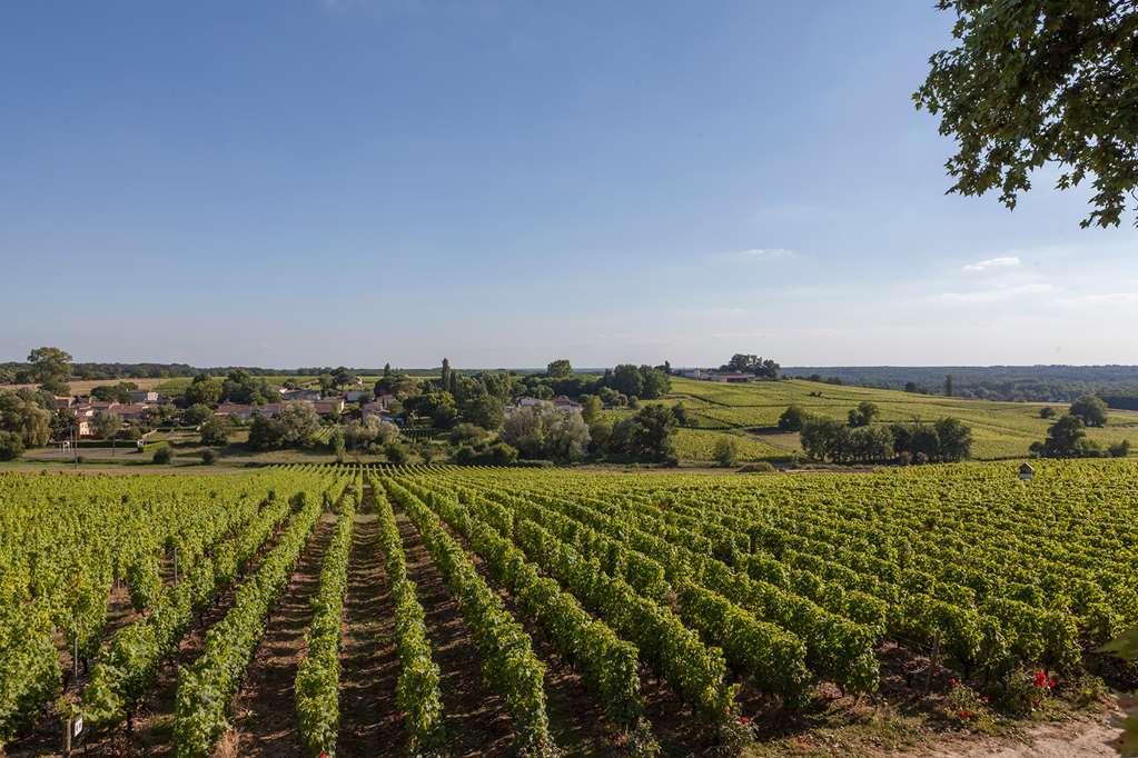 Chateau D'Arche, Grand Cru Classe De Sauternes Tiện nghi bức ảnh