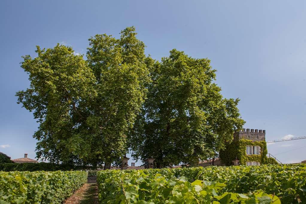 Chateau D'Arche, Grand Cru Classe De Sauternes Tiện nghi bức ảnh