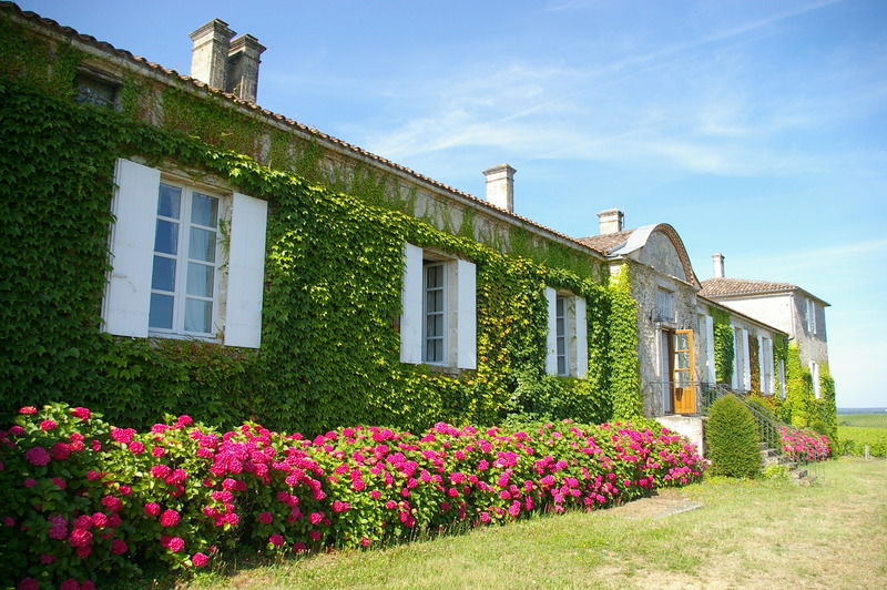 Chateau D'Arche, Grand Cru Classe De Sauternes Ngoại thất bức ảnh