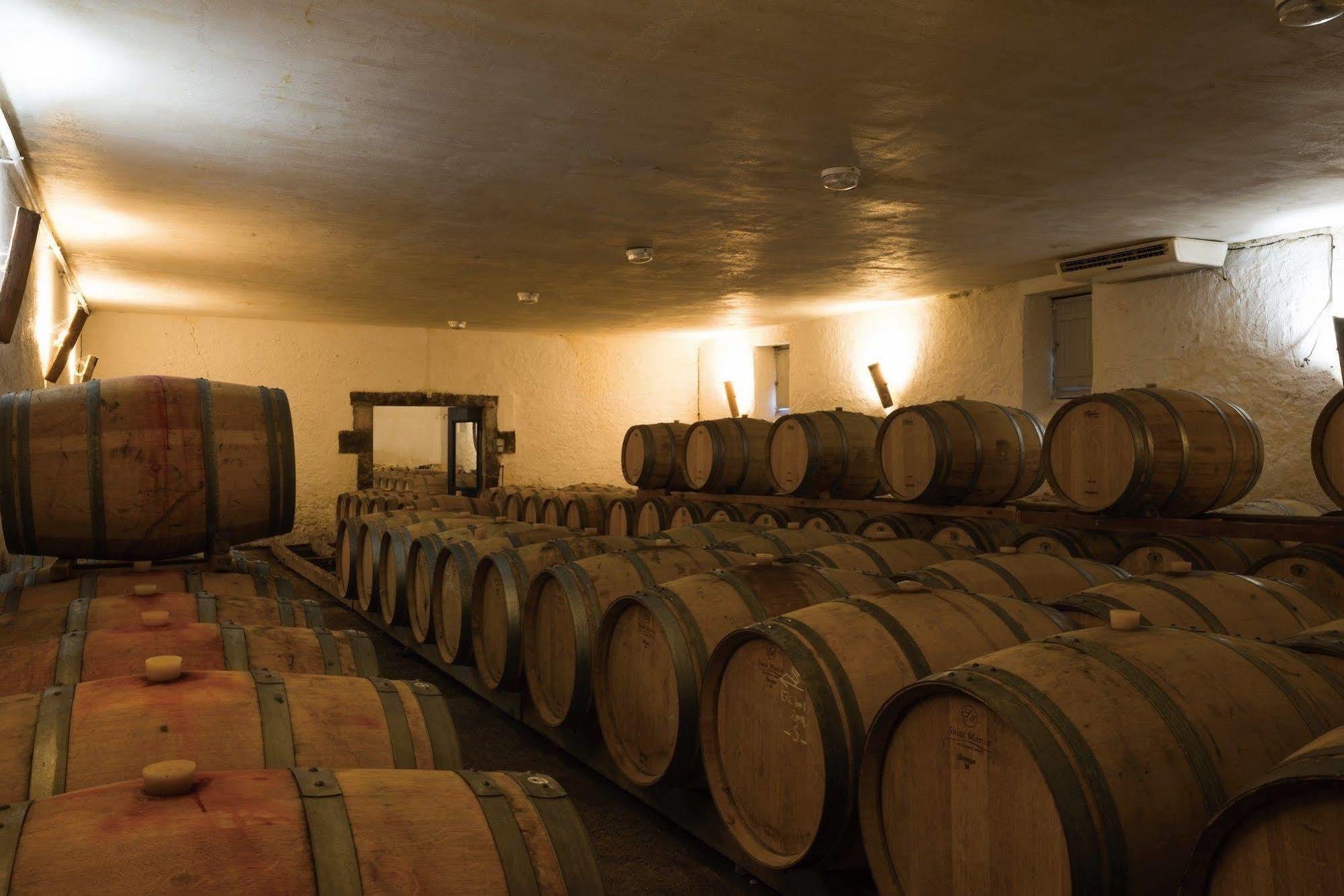 Chateau D'Arche, Grand Cru Classe De Sauternes Ngoại thất bức ảnh