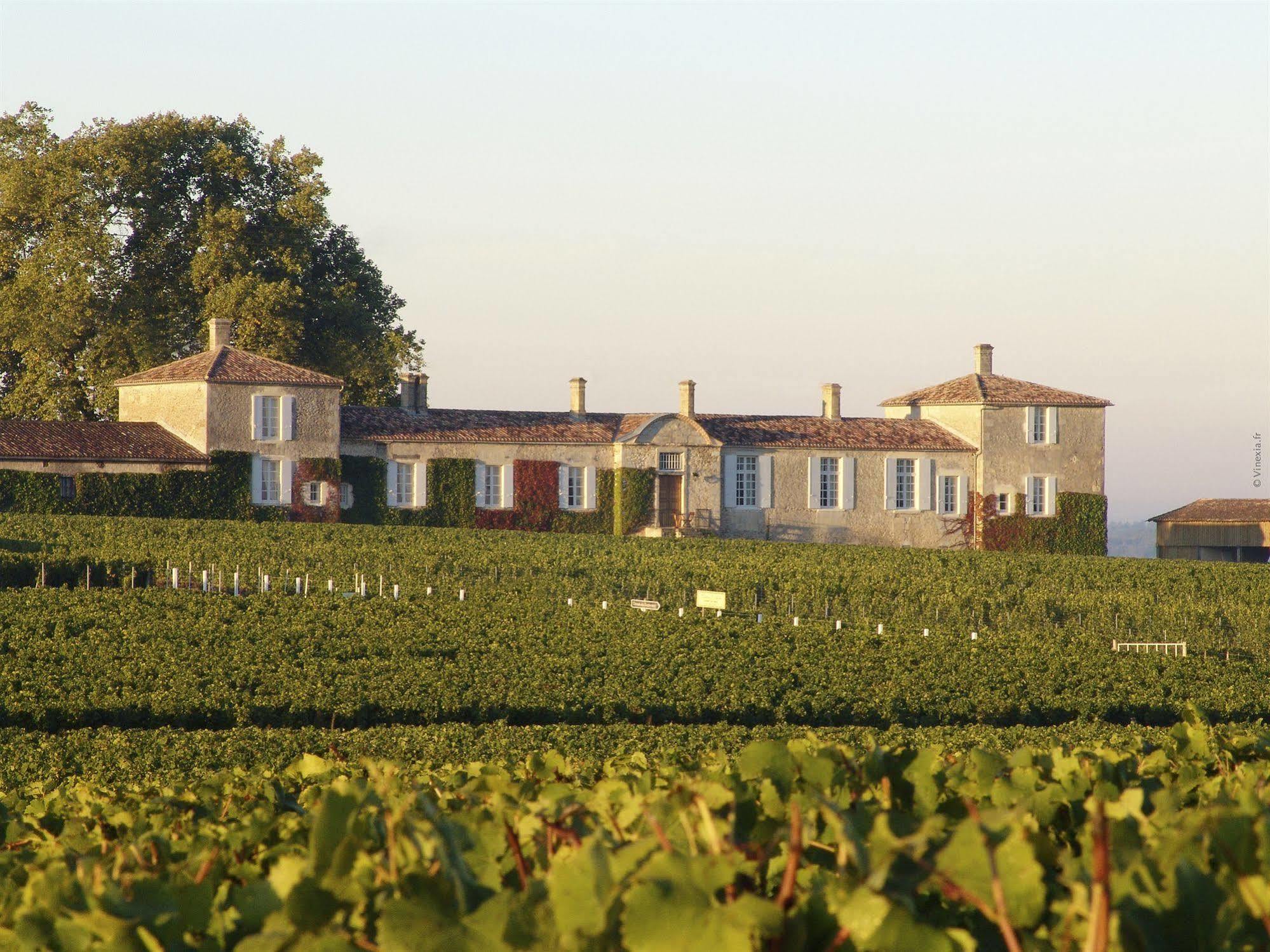 Chateau D'Arche, Grand Cru Classe De Sauternes Ngoại thất bức ảnh